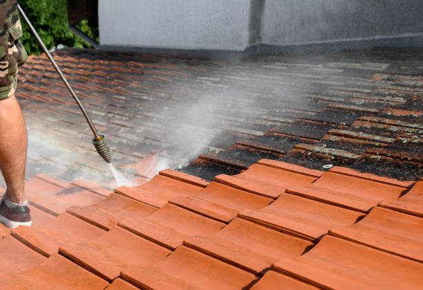 Best House Pressure Washing  in Algonquin, MD