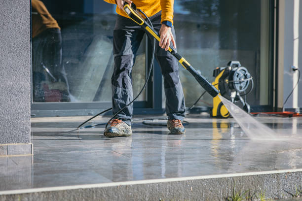 Best Roof Pressure Washing  in Algonquin, MD