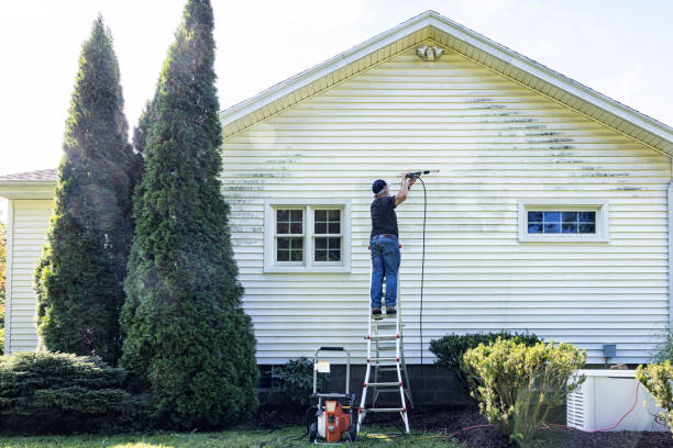 Best Deck Cleaning Services  in Algonquin, MD