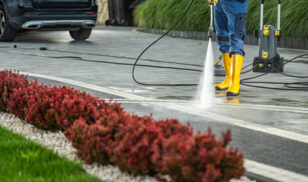 Best Fence Pressure Washing  in Algonquin, MD