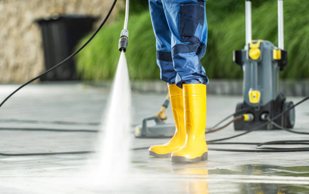 Best Roof Pressure Washing  in Algonquin, MD