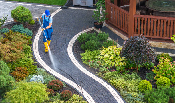 Best Roof Power Washing Services  in Algonquin, MD